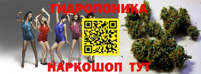ALPHA PVP Нальчик