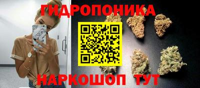 ALPHA PVP Нальчик