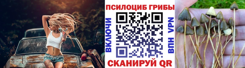 Галлюциногенные грибы мухоморы  как найти   Владивосток 